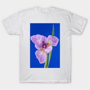 Iris T-Shirt